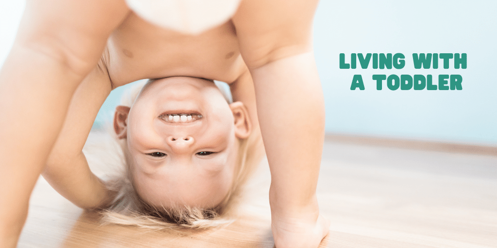 Living with a toddler